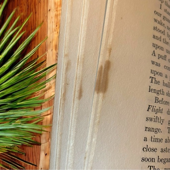 VINTAGE 1910 The Shogun’s Daughter by Robert Ames Bennet | A.C. McClurg & Co. - Picture 9 of 11